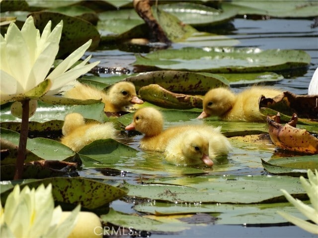 Building Photo - 5 Woodspring Cove