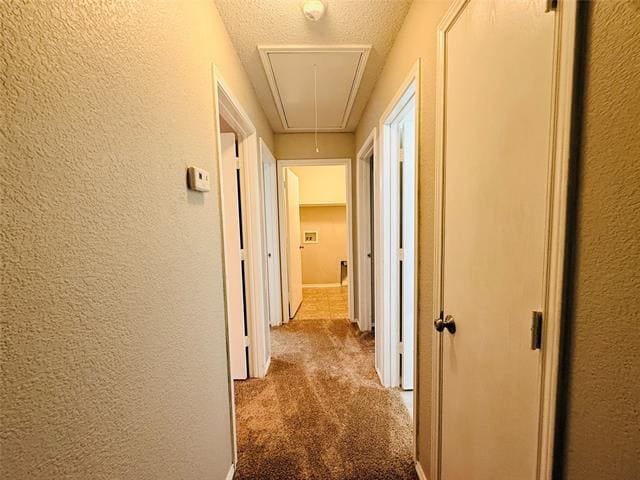 Building Photo - 5708 Giddyup Ln