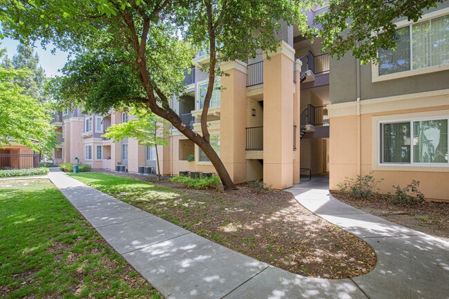 Building Photo - 3190 Rubino Dr