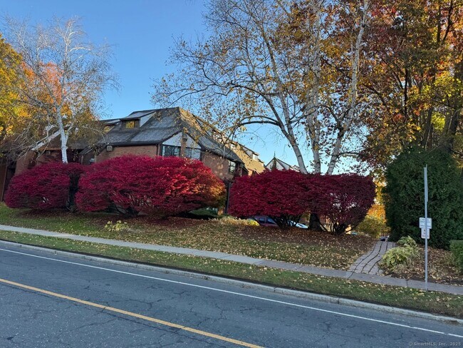 Building Photo - 181 Loomis Dr