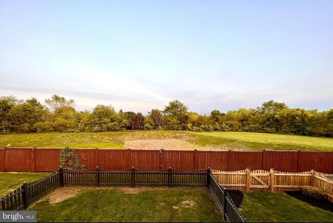 Backyard View - 257 Morlatt Ln