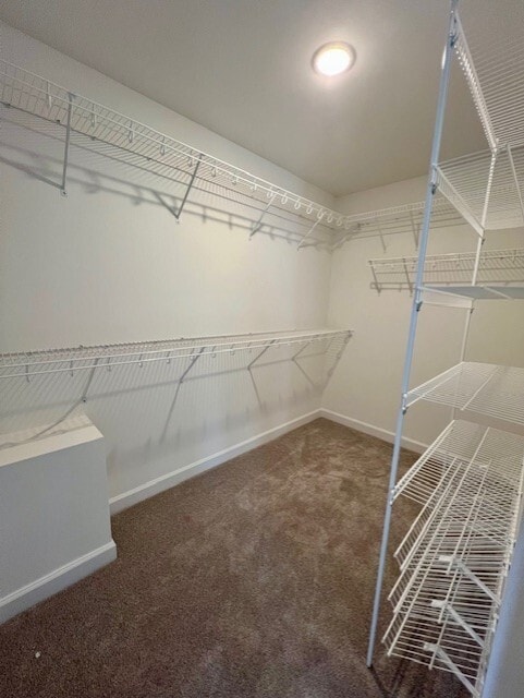 Building Photo - 1615 Palomino Trl