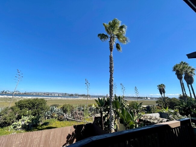 Building Photo - Furnished Beach front House in OB One Month Minimum Rental