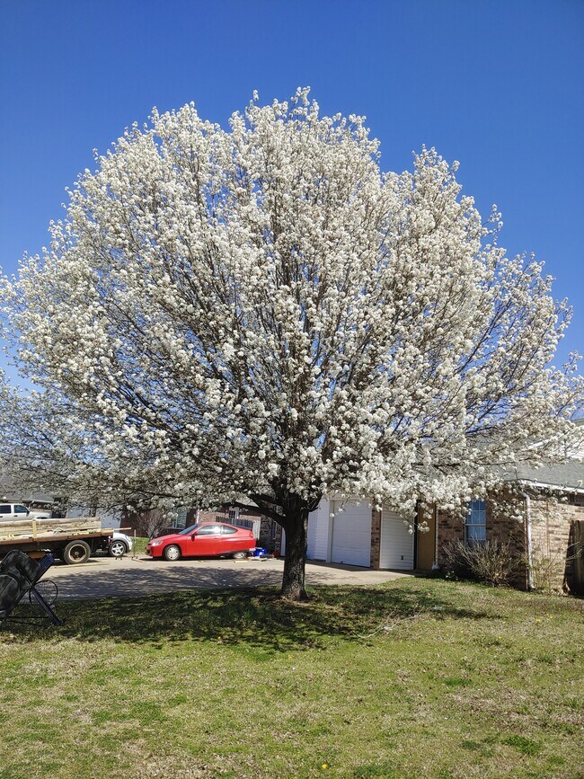 Primary Photo - 204 Killdeer Dr