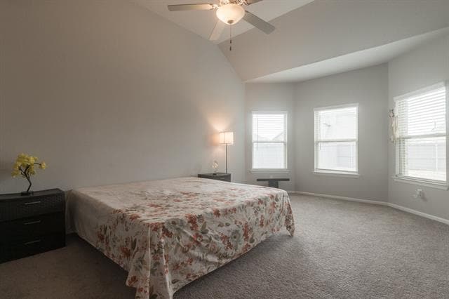 Building Photo - 7106 Mistflower Mdw