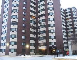 Primary Photo - 7337 S South Shore Dr