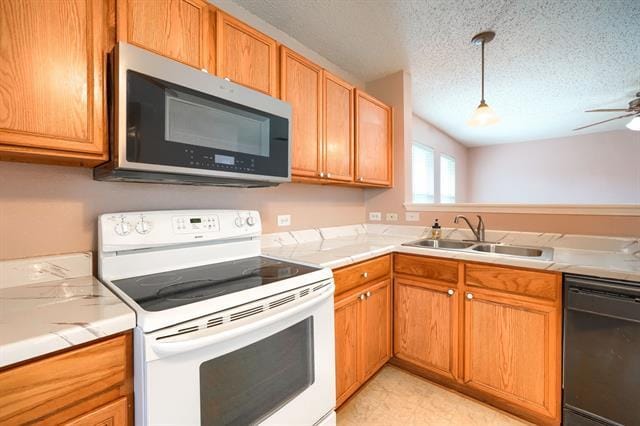 Building Photo - 1820 Brookwood Dr