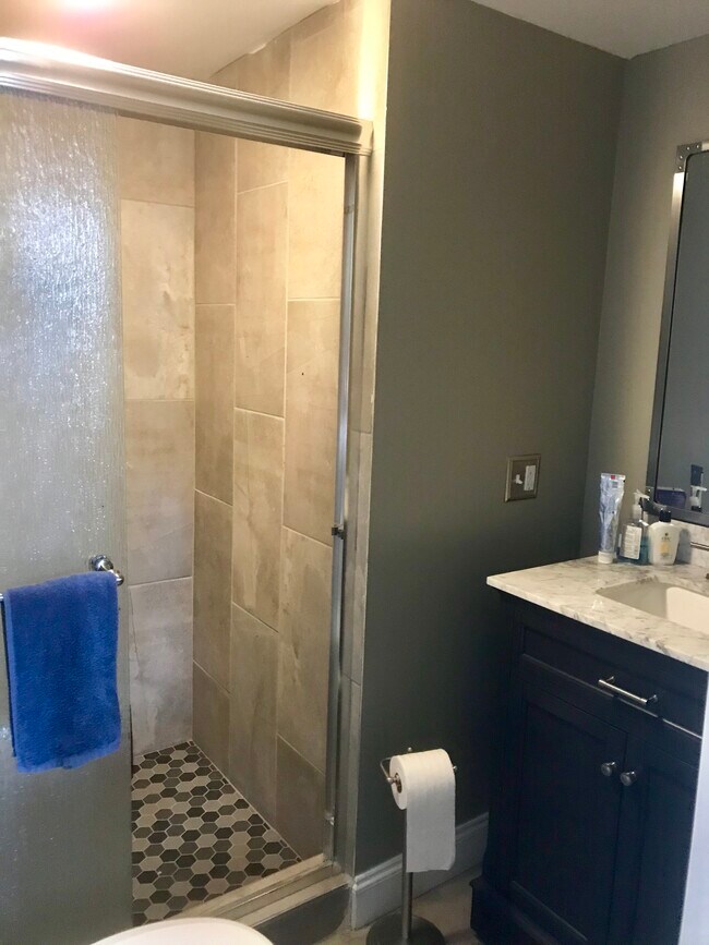 Unit 1 bathroom - 126 Hudson St