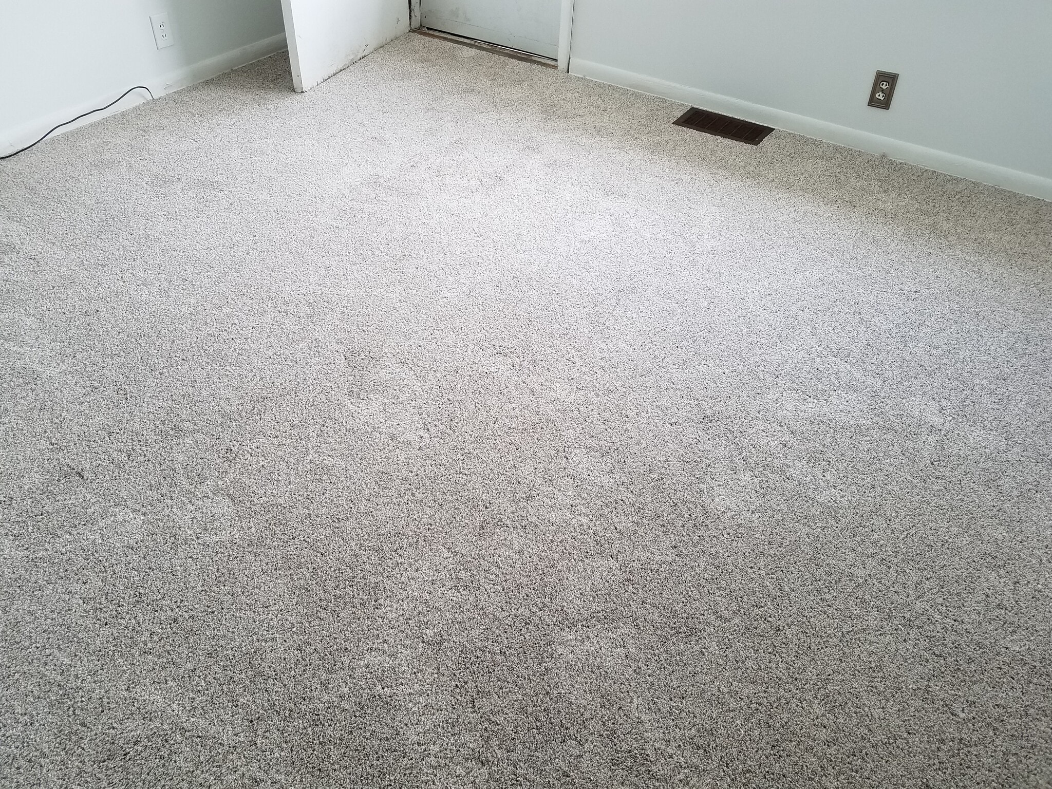 carpet is only 1 1/2 years old - 315 Elm St
