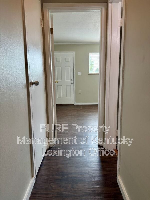 Building Photo - 1685 Alexandria Dr