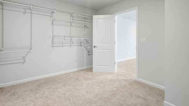 Building Photo - 3415 Hattie Ln