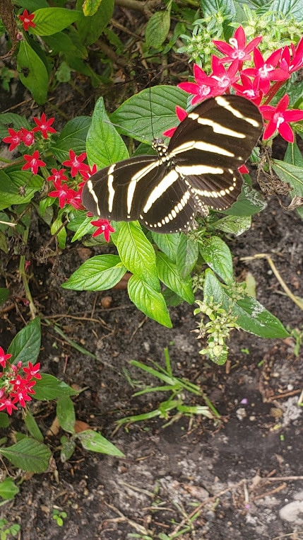 Building Photo - 486 Pinewood St