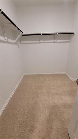 Building Photo - 1919 Rolling Rdg Dr