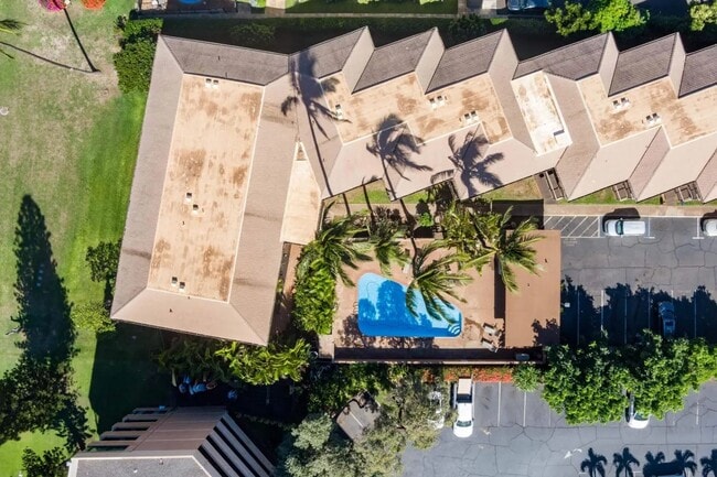Building Photo - Ocean Front Complex w/ Pool & Amenities, F...
