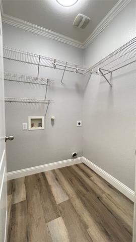 Building Photo - 650 Tabasco Trail