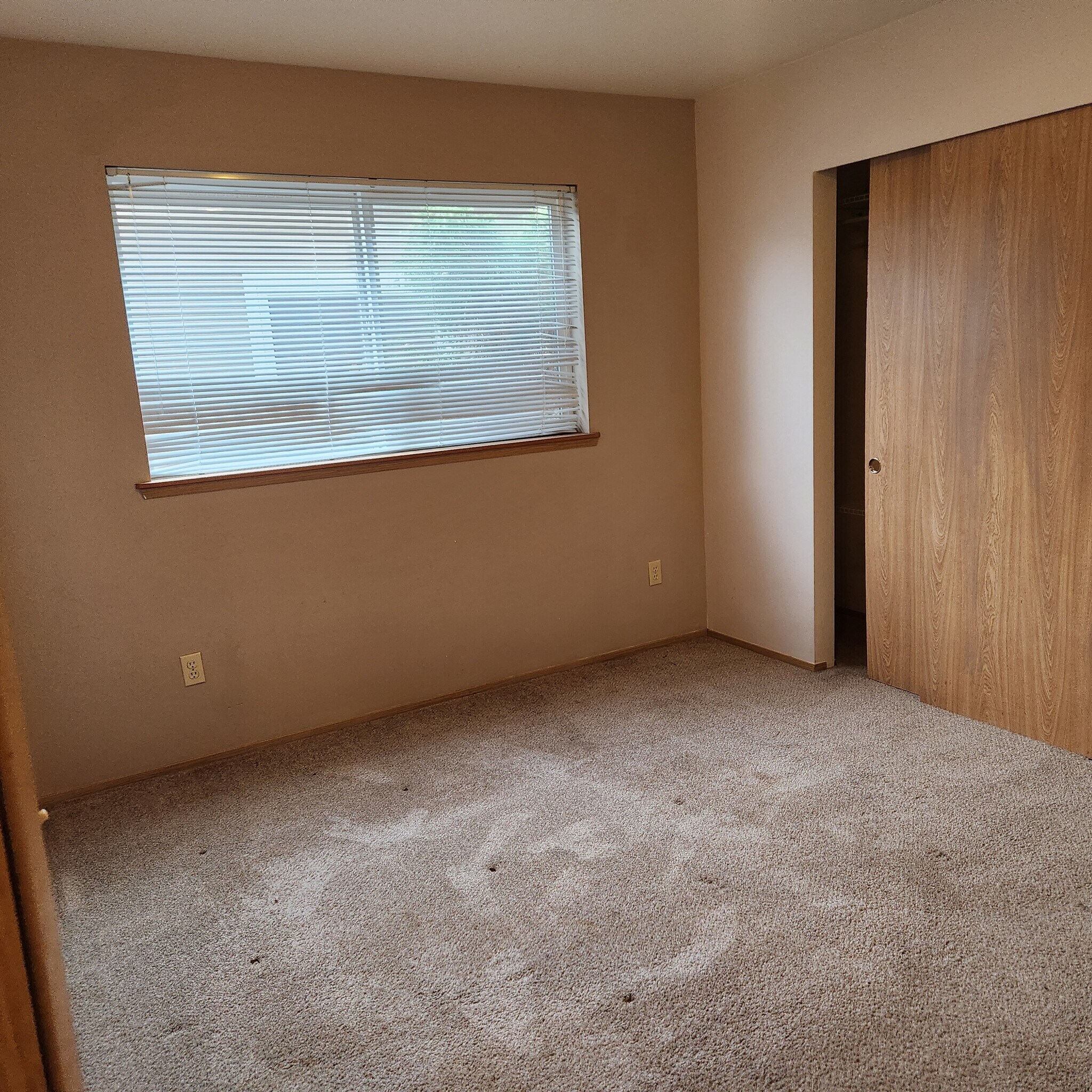 Bedroom 2 - 3603 Michelle Ln