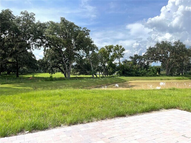 Building Photo - 36308 Spanish Rose Dr