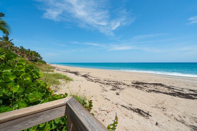 Building Photo - 1005 Bel Air Dr