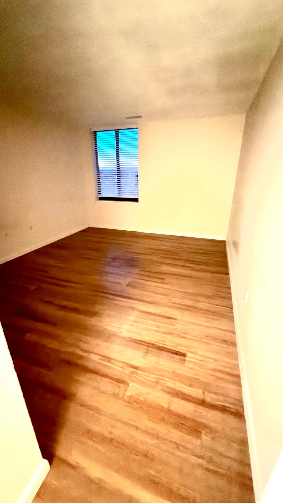 Building Photo - 1004 Paradise Rd