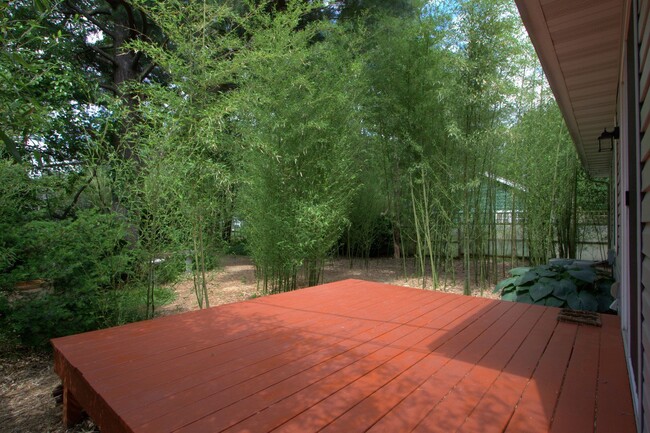 Building Photo - 4-Bedroom 2-Bath Home near Downtown Champa...