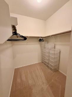 Building Photo - 3701 Canaan Matthew Dr