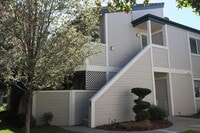 Building Photo - 2659 Sycamore Glen Dr