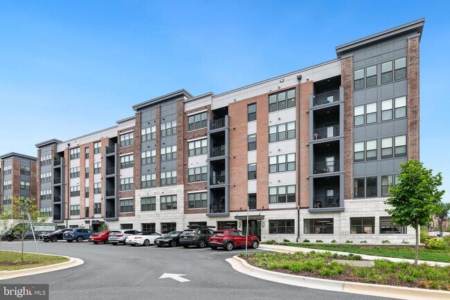 Building Photo - 3507 Bellflower Ln