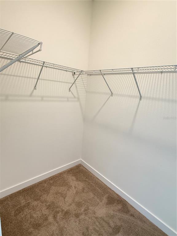 Building Photo - 3305 Tranquil Trl