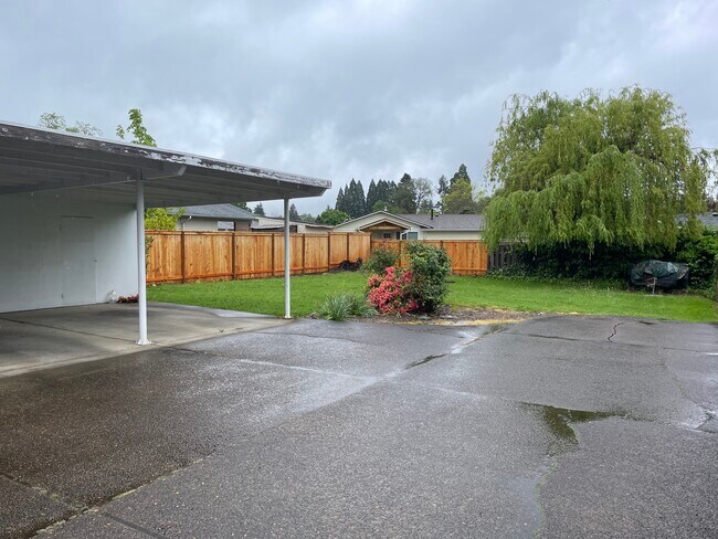 Private grass area - 634 Villa Rd