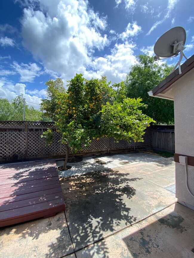 Building Photo - 1582 Sawgrass Dr