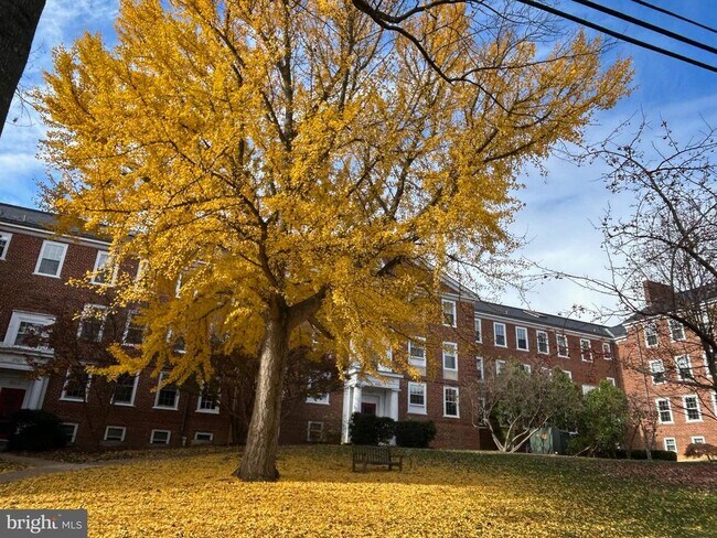 Building Photo - 3541 39th St NW
