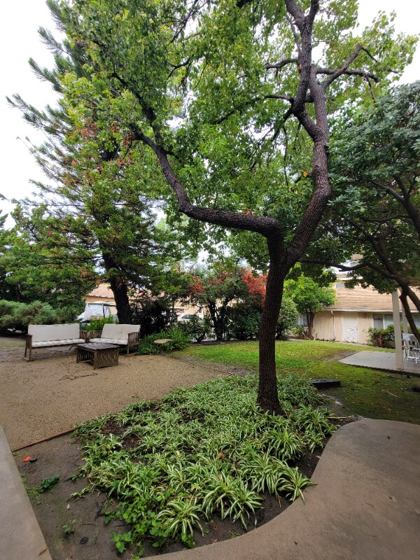 Building Photo - 13531 Wyandotte St