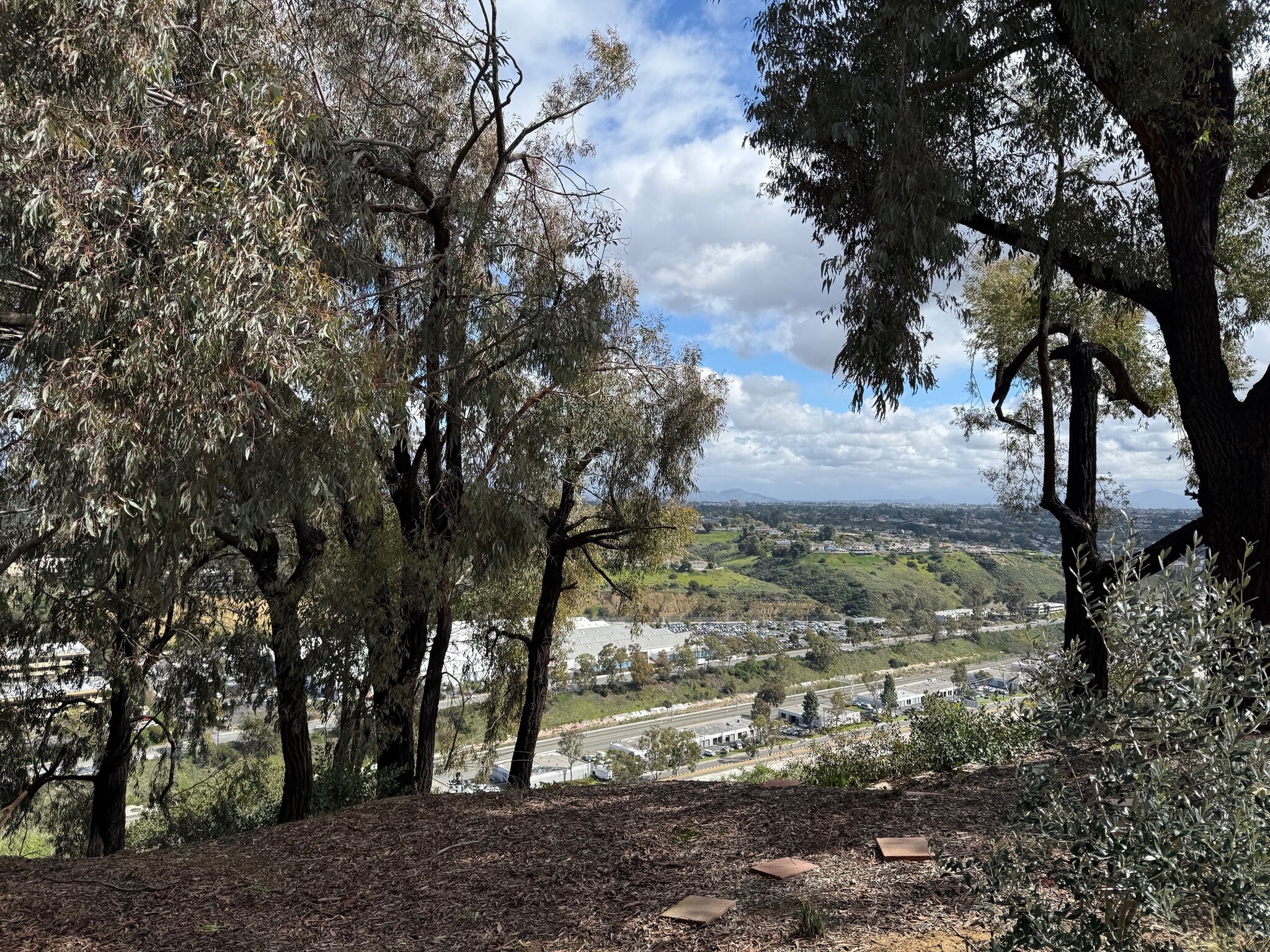 Building Photo - 2366 Almeria Ct