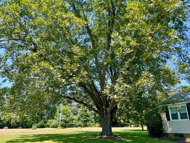 Building Photo - 1053 New Bridge Rd