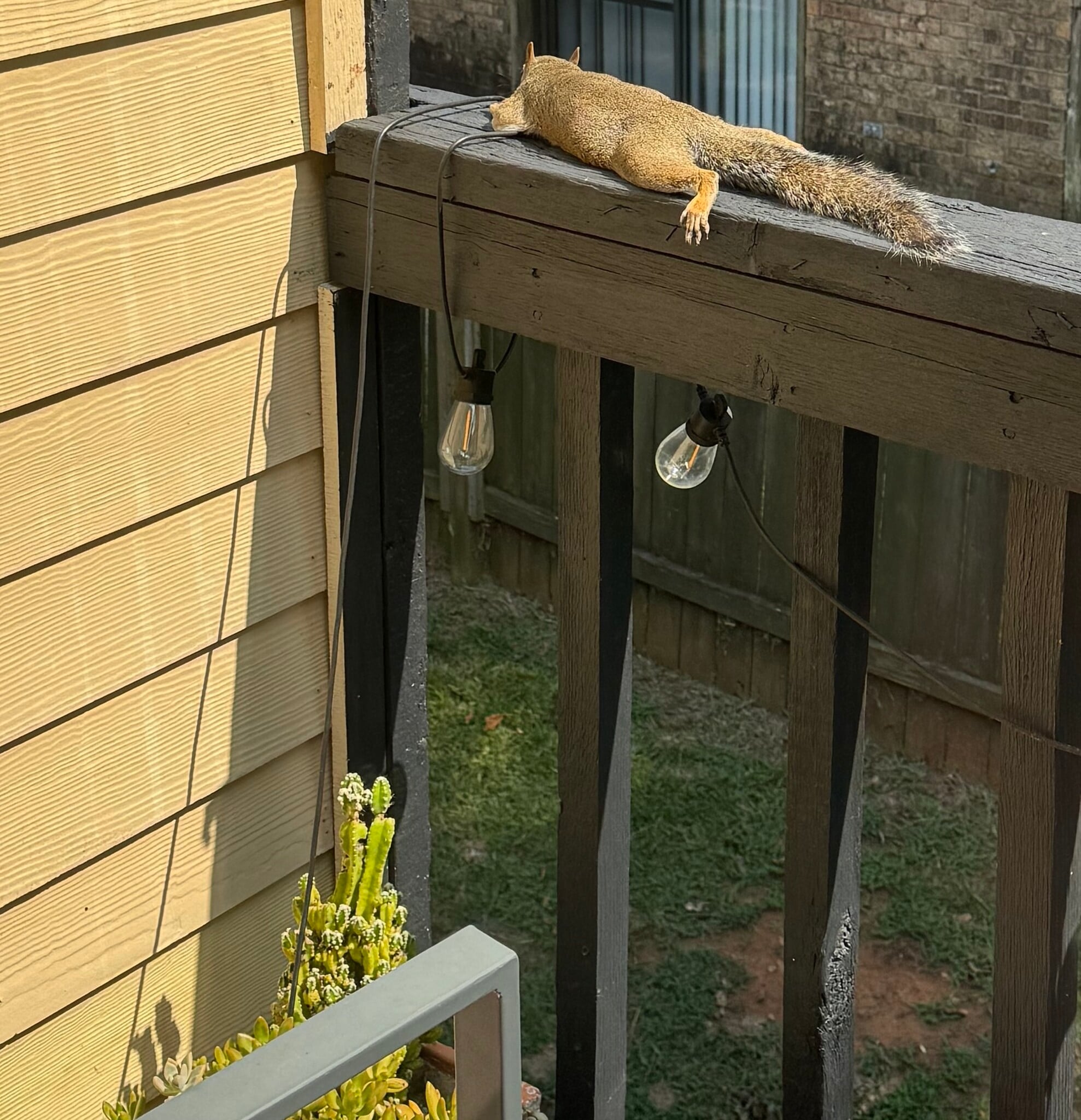 Building Photo - 2120 Pearl St