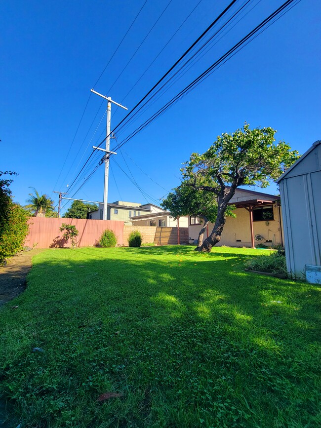 BACKYARD with fruit trees and plant gardening areas - 12051 Alberta Dr