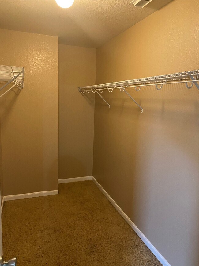 Building Photo - 2630 Skyview Shadows Ct