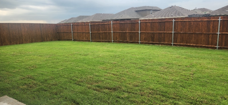 Building Photo - 1418 Saddlehorn Dr