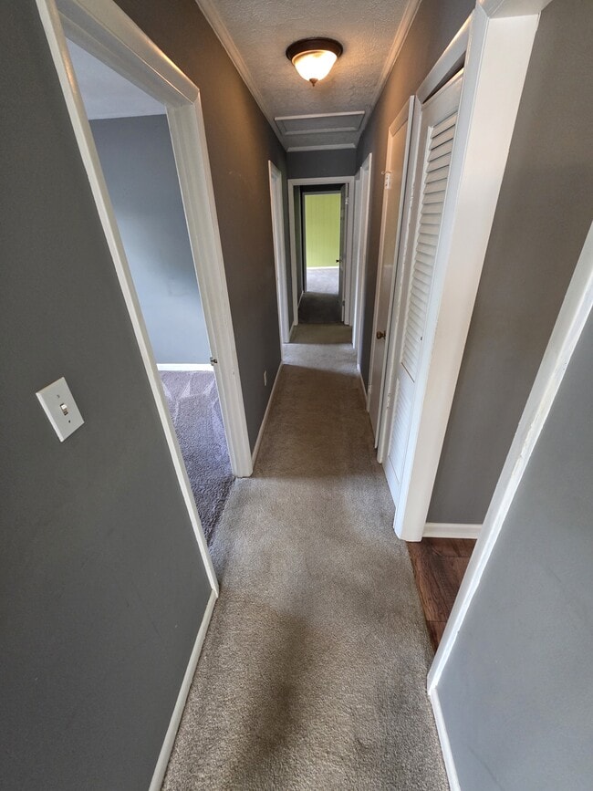 Building Photo - 2302 Norfolk St