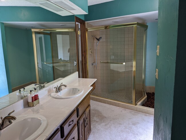 master bathroom with double sink, makeup area and walk-in shower - 205 N Easy St