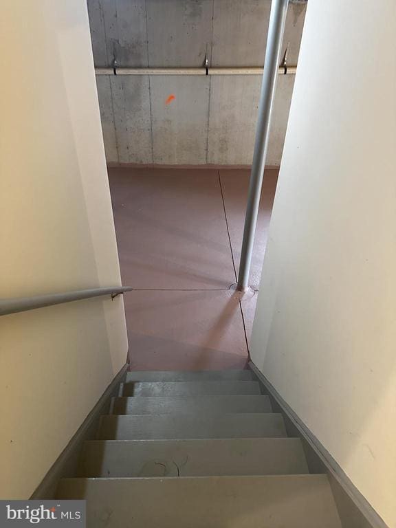 Building Photo - 147 Fringetree Dr