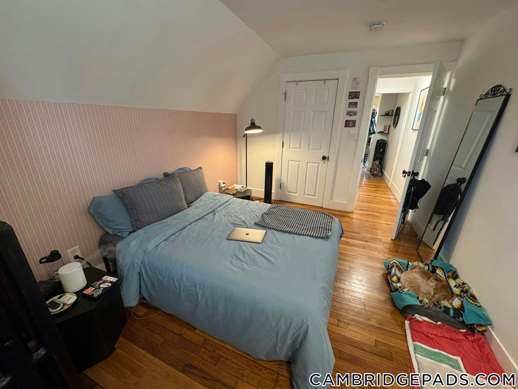 Building Photo - 5-7 Blake St.