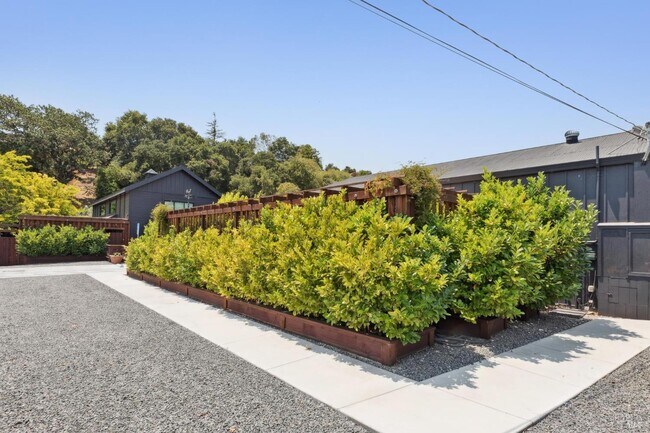 Building Photo - 307 Bodega Ave