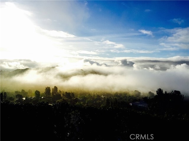 Building Photo - 3820 Domal Ln