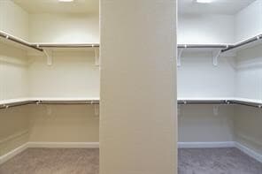 Building Photo - 10118 N Whimbrel Cir