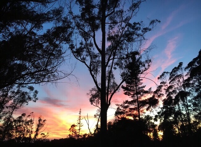 Building Photo - 221 Gillette Rd