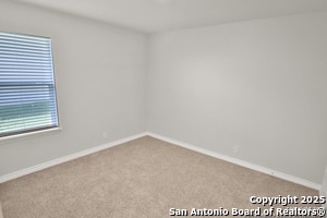 Building Photo - 183 Ringed Plover