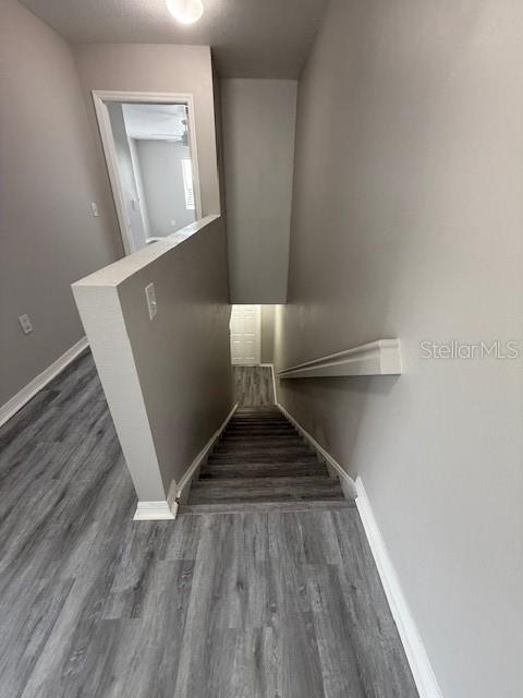 Building Photo - 20460 Needletree Dr
