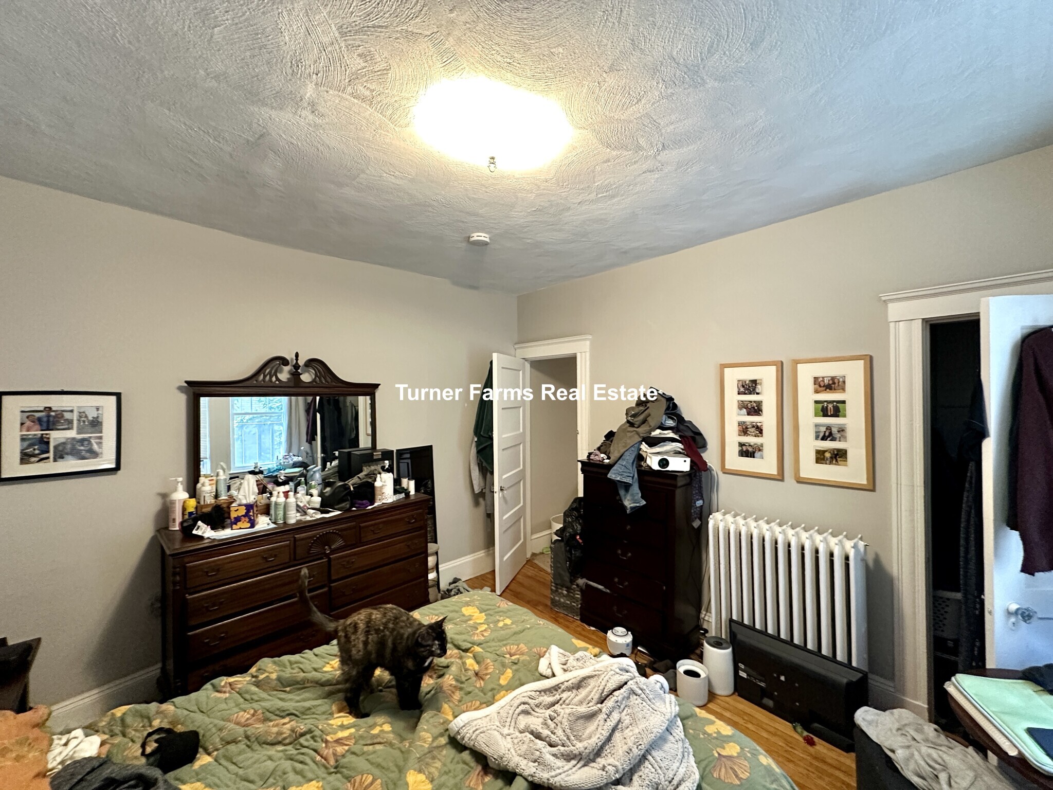Building Photo - 8A Forest St