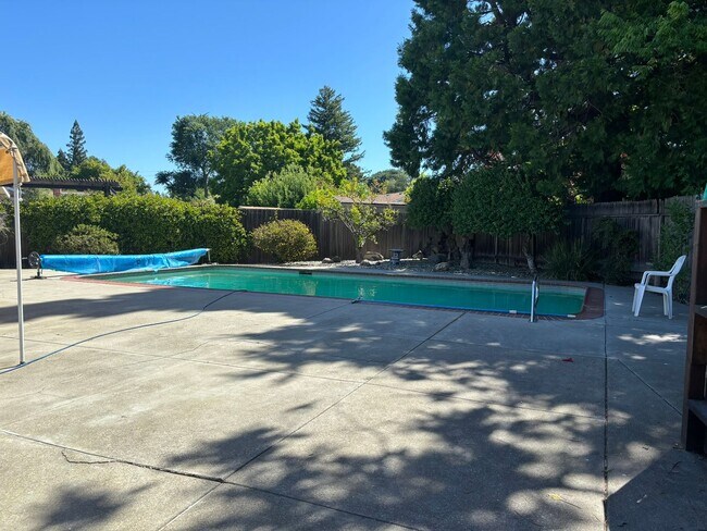 Building Photo - Gorgeous 4 bed/3 bath home in Walnut Creek